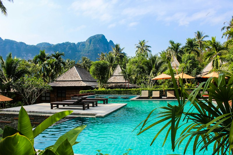 Infinity pool and palm trees